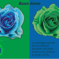 Auguri_RosaVerdeBlu_Unito_ok